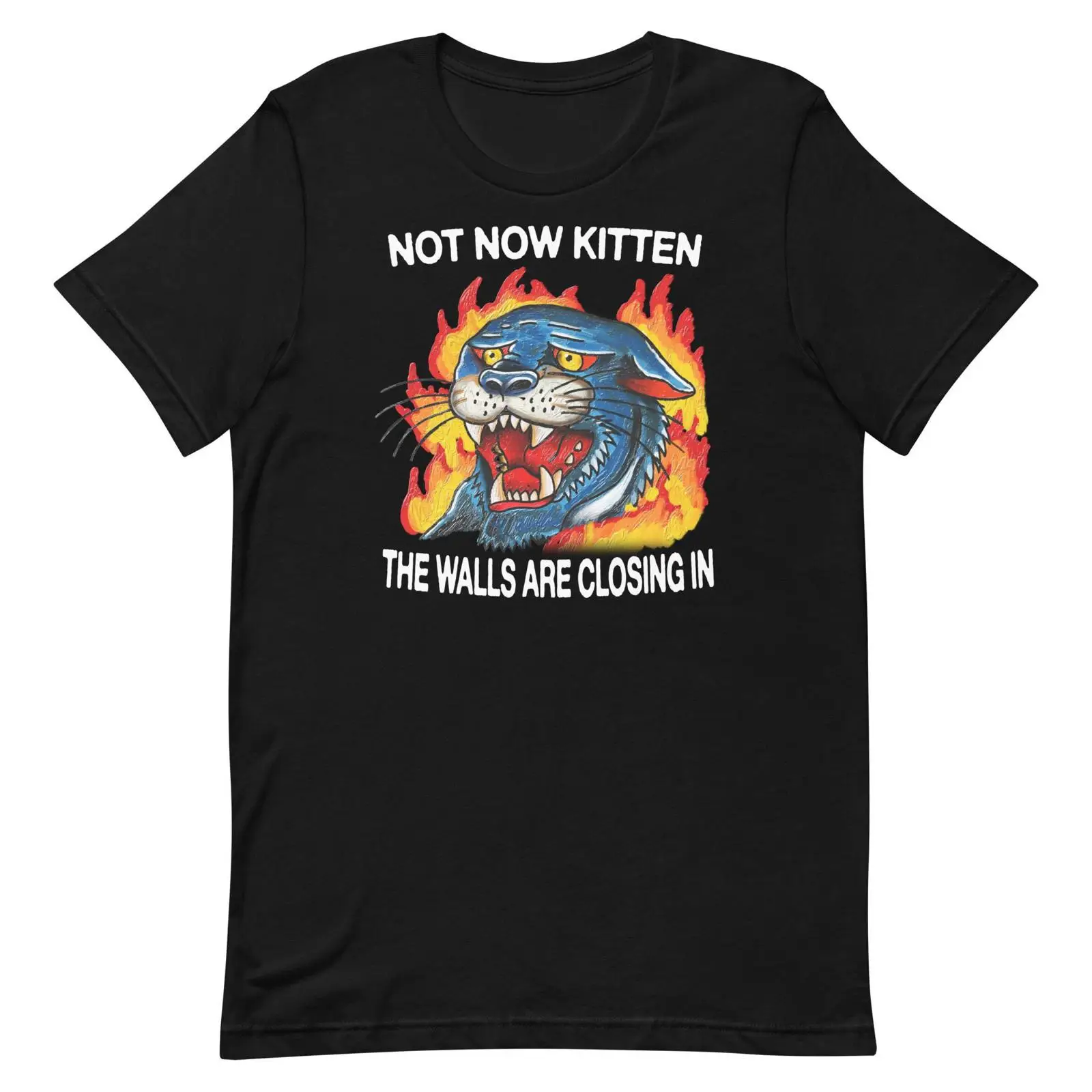 Vintage Fashion Now - Футболка Not Now Kitten в винтажном