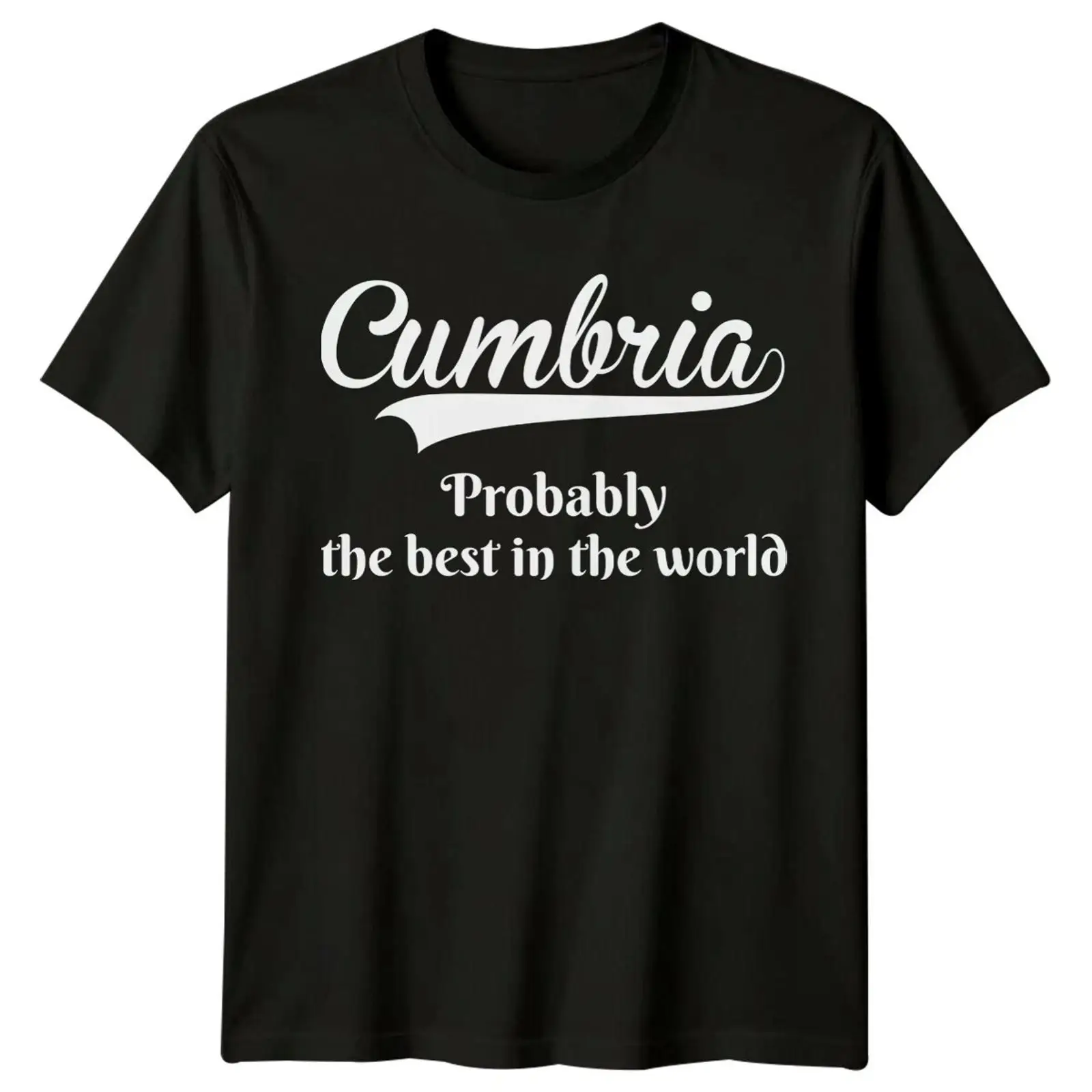 Футболка Cumbria Probably The  – обзор и цена Vintage Fashion Herren